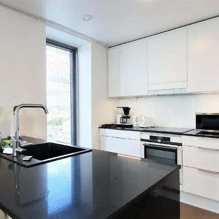 Apartment Kotimaailma - Upea Ylaekerroksen - Itsenaeisyydenkatu *